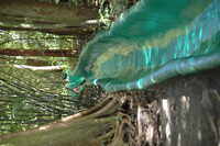  2007-12-10 14.59.10.JPG 